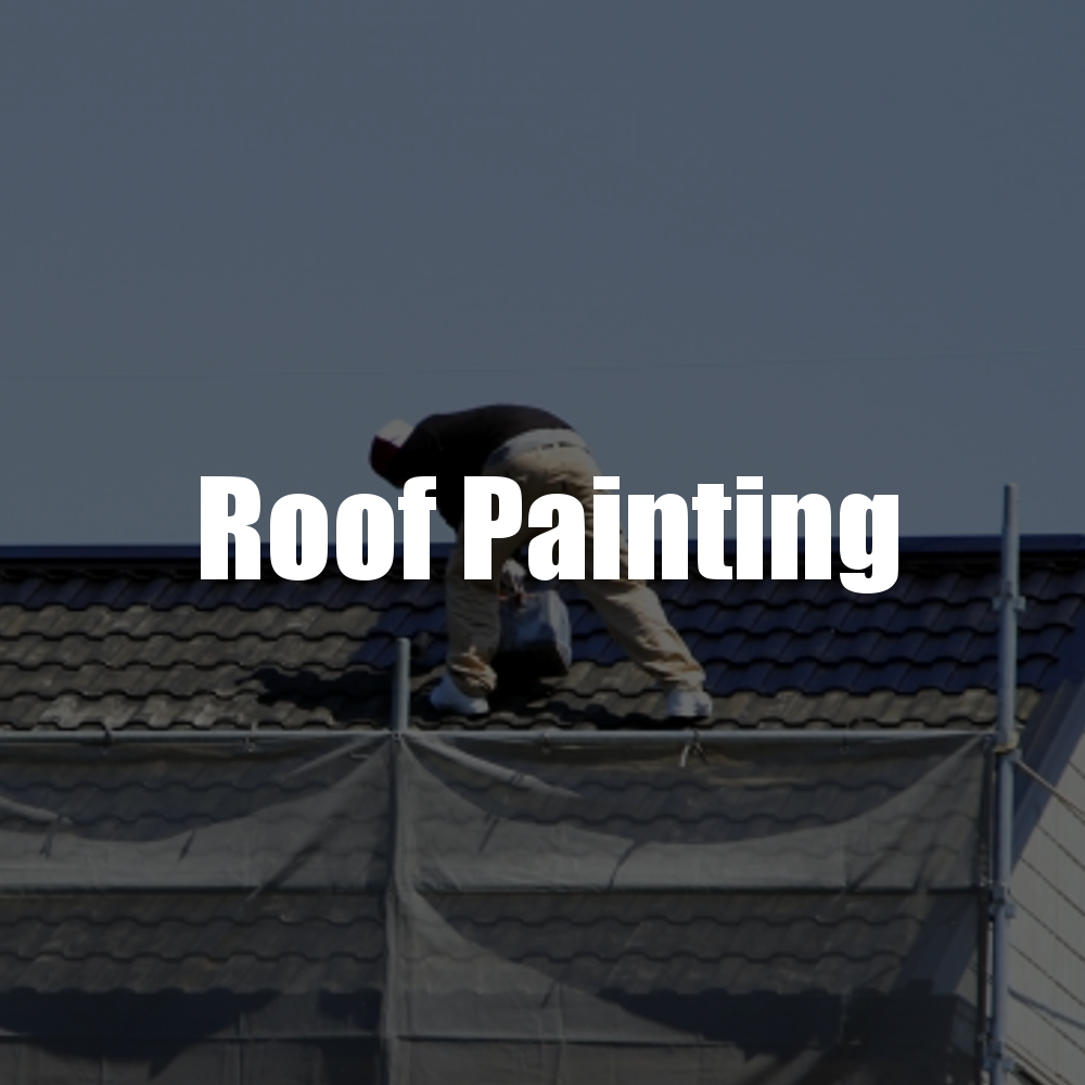 Roof Painting